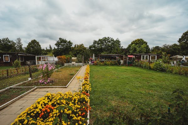 Conseils pratiques pour un entretien d'espaces verts efficace